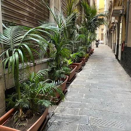 Veronese 3* Genova